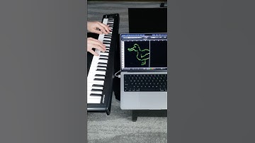 Drawing a Duck With a Piano (Live MIDI Art)
