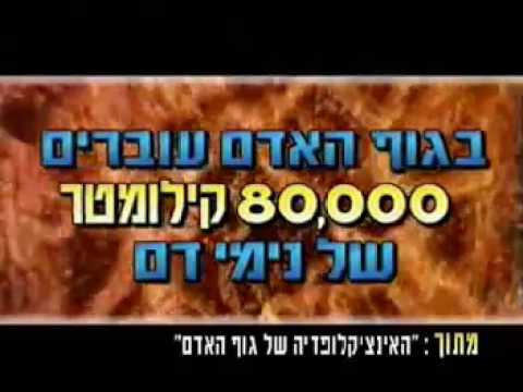 נתונים מדהימים ! - נפלאות הבריאה