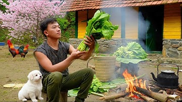 #10 CEO Leaves the City for the Forest Harvest Fresh Vegetable to Sell, Cooks by Stream