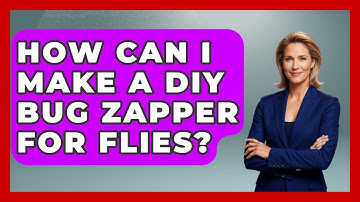 How Can I Make A DIY Bug Zapper For Flies? - Insects and Invaders