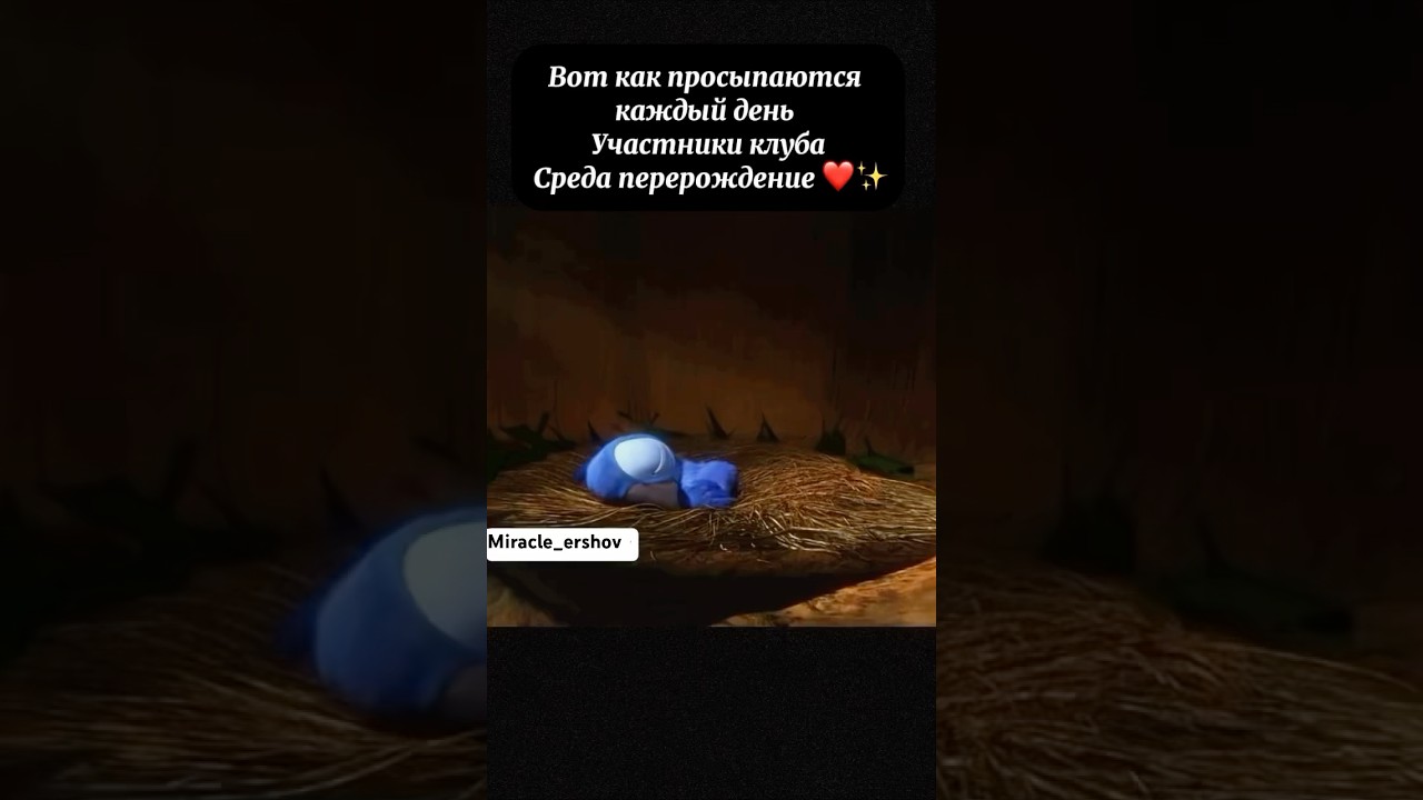 Ссылка в профиле ☝️, присоединяйся