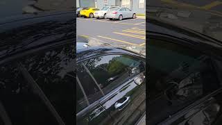 Player's car Egged