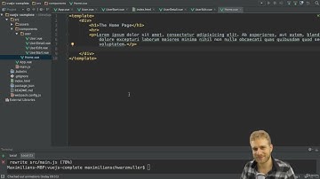 XVI. Routing in a VueJS Application. 2. Setting up the VueJS Router vue router