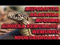 Muporofita Akakwira Mugomo Rinoera Nemukadzi Wemunhu Ndokusangana Netsaona Muporofita Akakwira Mugomo Rinoera Nemukadzi Wemunhu Ndokusangana Netsaona