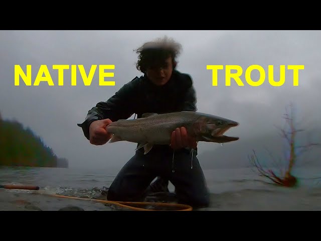 GIANT Sea-run CUTTHROAT TROUT From Shore TWITCHING HAIR JIGS 