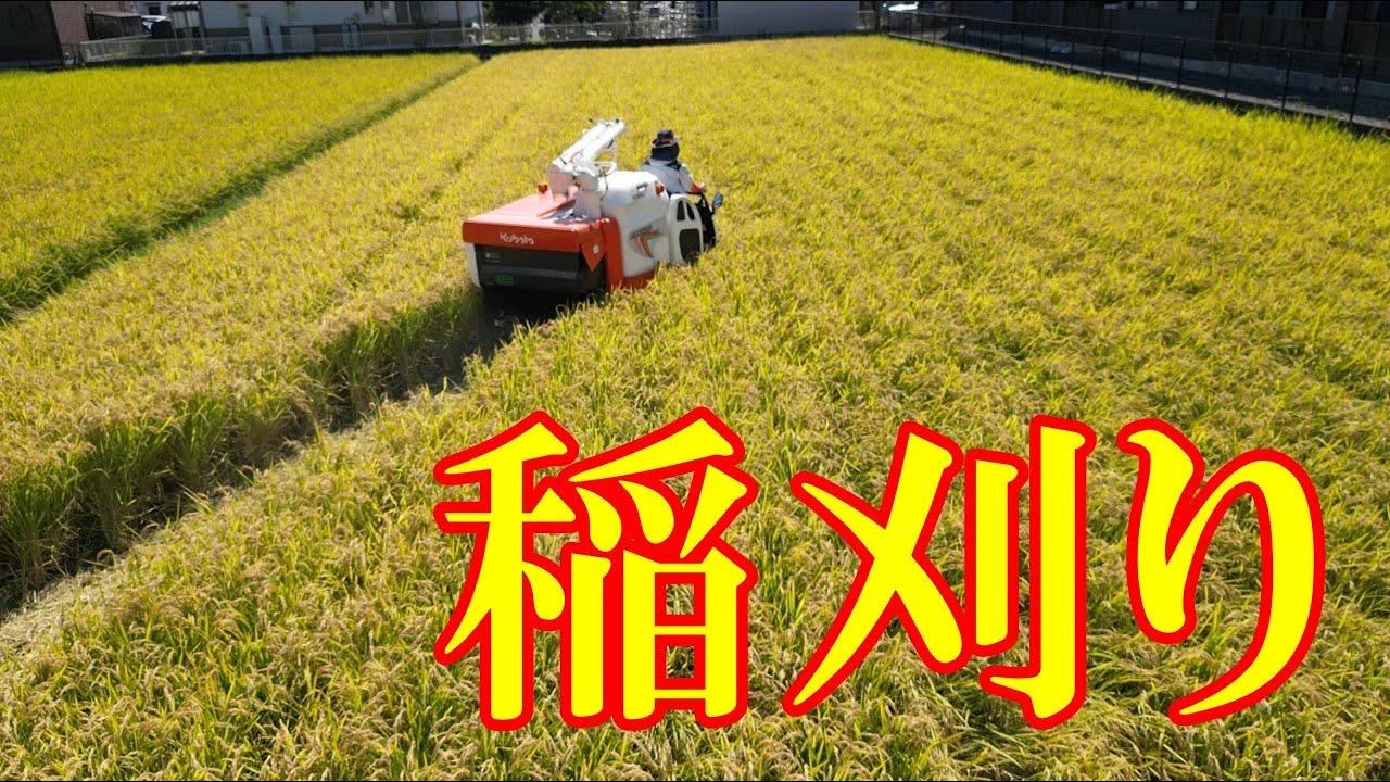 Kubota 稲刈り機 クボタ 2025 タイランド稲刈り機 DC 108 X ベストセラー 108馬力 高
