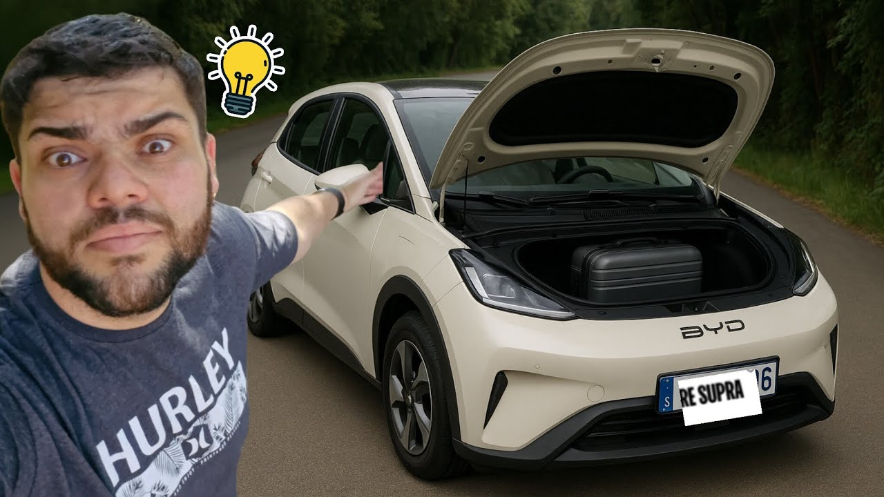 5 Truques SECRETOS que TODO Dono de Dolphin Mini Precisa Saber!