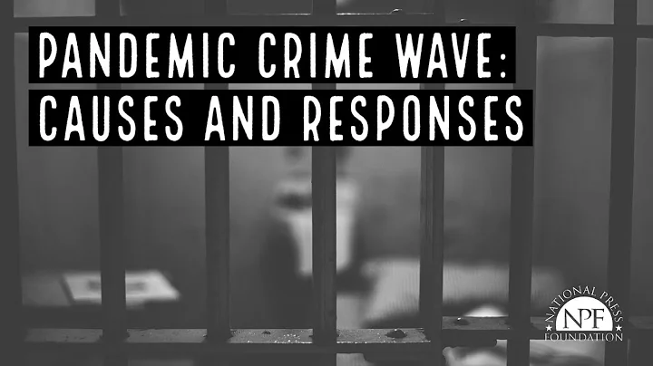 Pandemic Crime Wave: Causes and Responses - DayDayNews