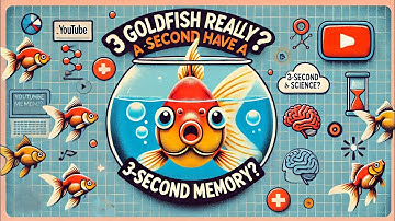 Do Goldfish Really Have a 3-Second Memory?