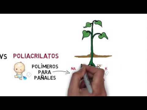 Vídeo: Diferencia Entre Poliacrilatos Y Poliésteres