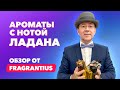 Ароматы с нотой ладана | Обзор от Fragrantius