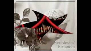 Kati̇li̇nolurumseni̇n.flv Isimsiz Sanatçı,Ama Gümüşhanın Sesine Çok Benziyor
