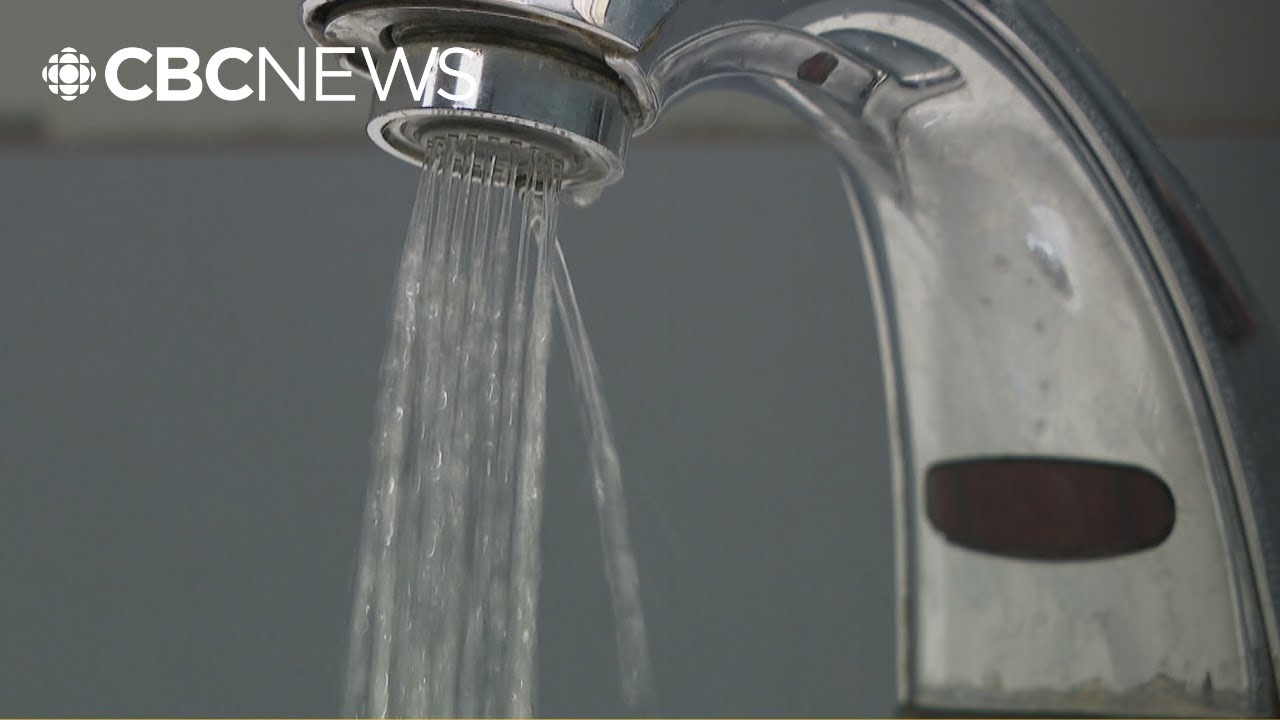 Ассоциация детских садов Йеллоунайфа заявляет, что расходы на тестирование на содержание свинца б...