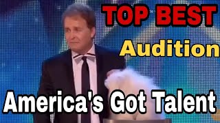 Top best auditions animals . America's got talent. Never seen before.