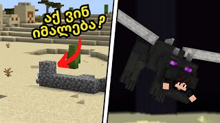 აქ რა ხდება?!! | Minecraft ახალ სერვერზე