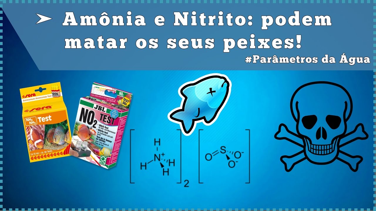 O que é amônia, nitrito e como essas substâncias podem matar seus peixes! YouTube O que é amônia, nitrito e como essas substâncias podem matar seus peixes! YouTube