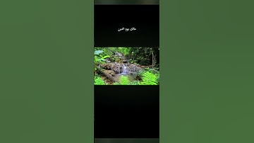 سورة الفاتحه بصوت القارئ ياسر الدوسري