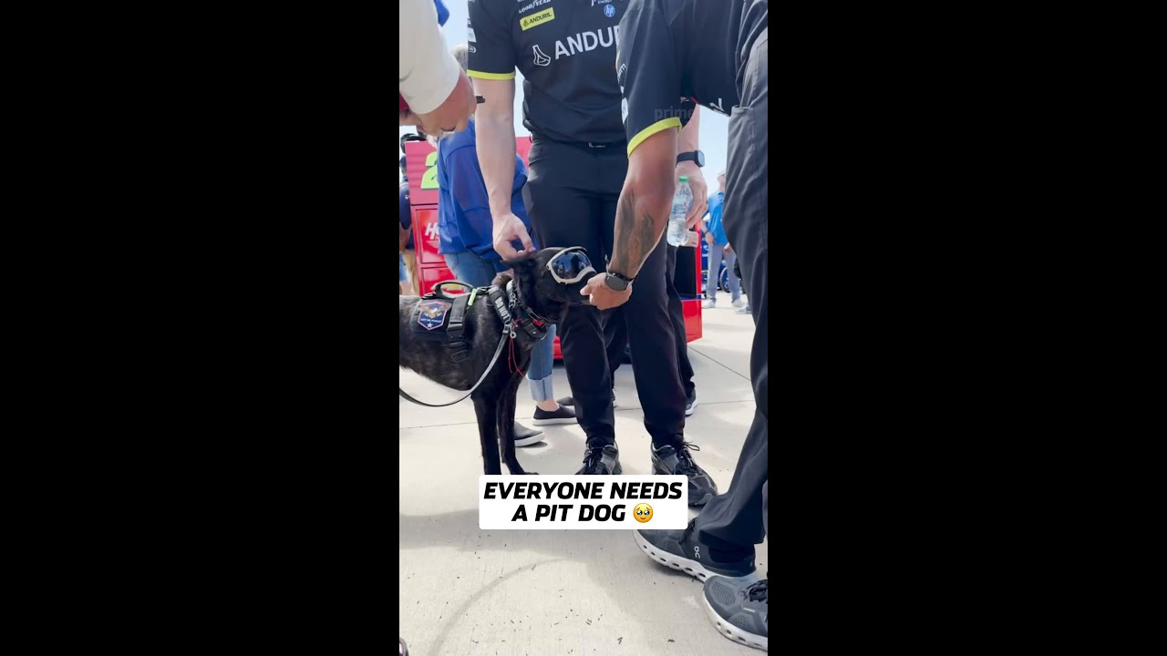 The goodest boy at the track 🐾