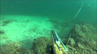 Подводная охота, Чёрное море, Крым, Октябрь