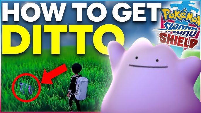 Buy ALL Ditto Natures for Sword and Shield with 6IV! - Rawkhet Pokemon