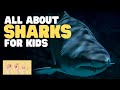 Shark Biology and Behavior