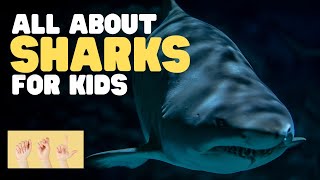 ASL All about Sharks for Kids