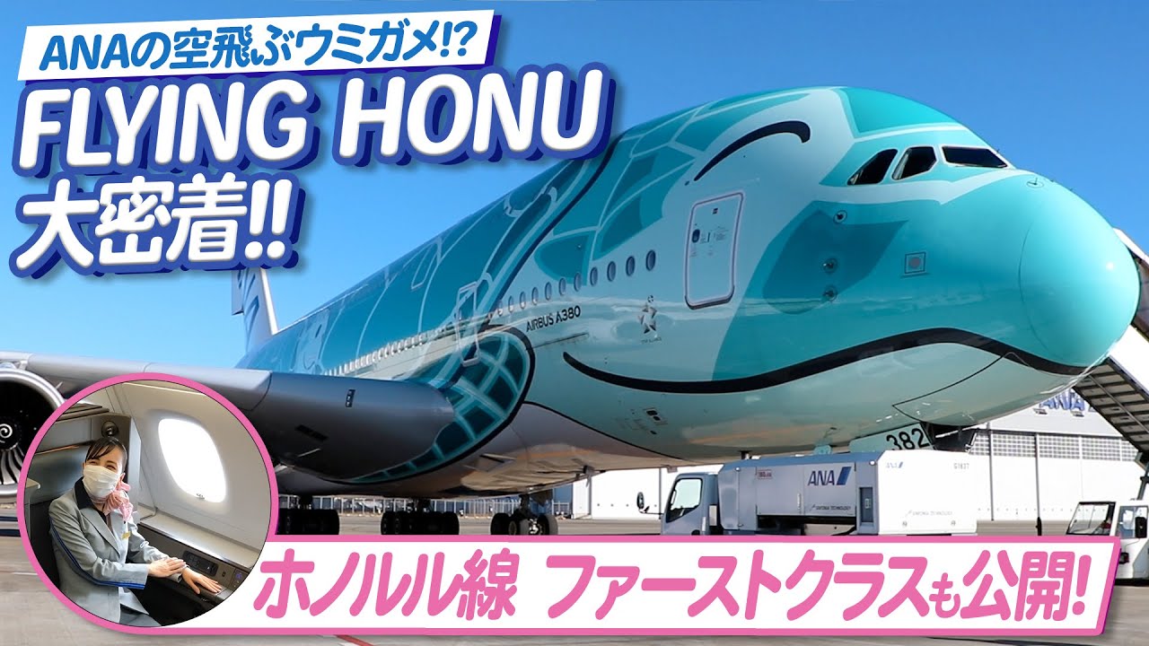 【ANA FLYING HONU】空飛ぶウミガメ!?A380の機内をご紹介!【ファーストクラス・ビジネスクラス】