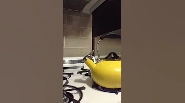 Tea Kettle Whistling 