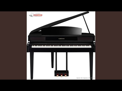 忘情忘你忘最初 纯音乐