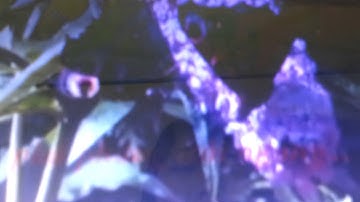 H�t d? c� b�c ??ng c??i hihi