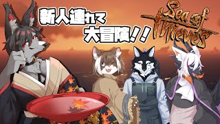 【シーオブシーブス】もふもふ海賊団復活⁉新人連れて大冒険だ!!【月影紅狼】
