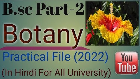 B.sc Part-2 Botany Practical File 2022 ( Hindi Medium ) .…... How To Make A Botany Practical File