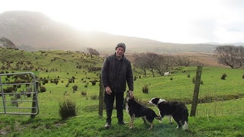 Pearl Mussel Project EIP March 2020 Farmer Update