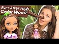Cedar Wood Basic (Сидар Вуд Базовая) Ever After High Обзор и Распаковка \ Review BDB11