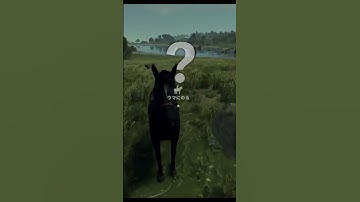 馬と熊の判別ができない男wwwwww #shorts #rust   #ゲーム配信