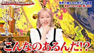 Download Lagu 世界の何だコレ!?ミステリー 2025 💥💥💥 ny発のマーケット情報など世界の経済/金融ニュースを速報!金融のプロが詳しく解説します。 MP3