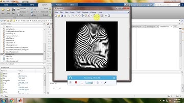 IEEE 2015 MATLAB IDENTIFY AND RECTIFY THE DISTORTED FINGERPRINTS
