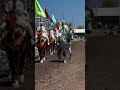 مقدم اشرف قيصر تبوريدة اكسبلور Moroccanculture الجالية المغربية في أوروبا خيل Horse 