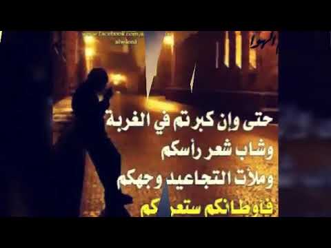 مشتركي هاني شاكر