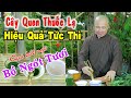 Ung Thư Vú, Giải Ngộ Độc Thức Ăn Uống, Nứt Chân, Lở Miệng Lưỡi, Sạn Thận, Phong Ngứa. Chùa Pháp Tạng