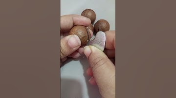 Trying Macadamia nuts forthe first time 🥰👌#High protein most expensive nuts inthe world #shortsfeed