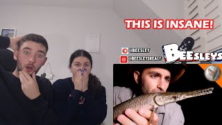 British Couple Reacts to Bizarre Creatures of Texas!