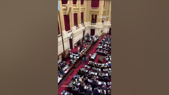 La euforia de Karina Milei, tras la aprobación de Ficha Limpia en Diputados