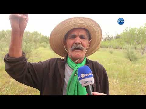 خبزة حلال العدد 27 عمي مسعود صاحب 86 سنة يخدم أرضه دون كلل ولا ملل