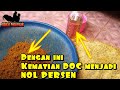 Cara Membuat Fermentasi Pakan Ayam | Pakan DOC ayam kampung