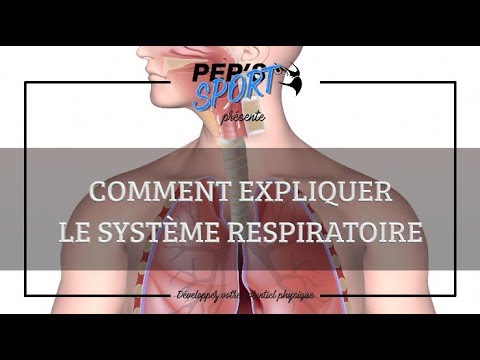 Vidéo: Comment fonctionnent les sacs respiratoires ?