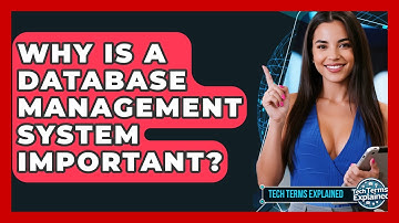 Why Is A Database Management System Important? - Tech Terms Explained