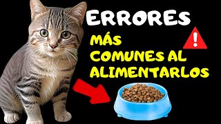 7  ERRORES al Alimentar a Tu Gato😼 TEN CUIDADO by Mascotas Sanas Y Felices 1,130 views 5 months ago 9 minutes, 36 seconds