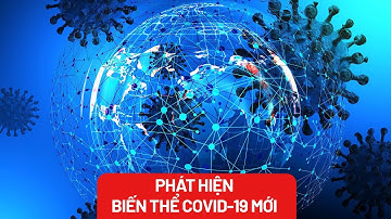 Phát hiện biến thể phụ COVID-19, chuyên gia khuyến cáo gì? - PLO