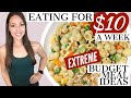 HOW TO EAT FOR $10 A WEEK | Extreme Low Budget Grocery Haul & Meal Ideas | Emergency Meals | Vegan